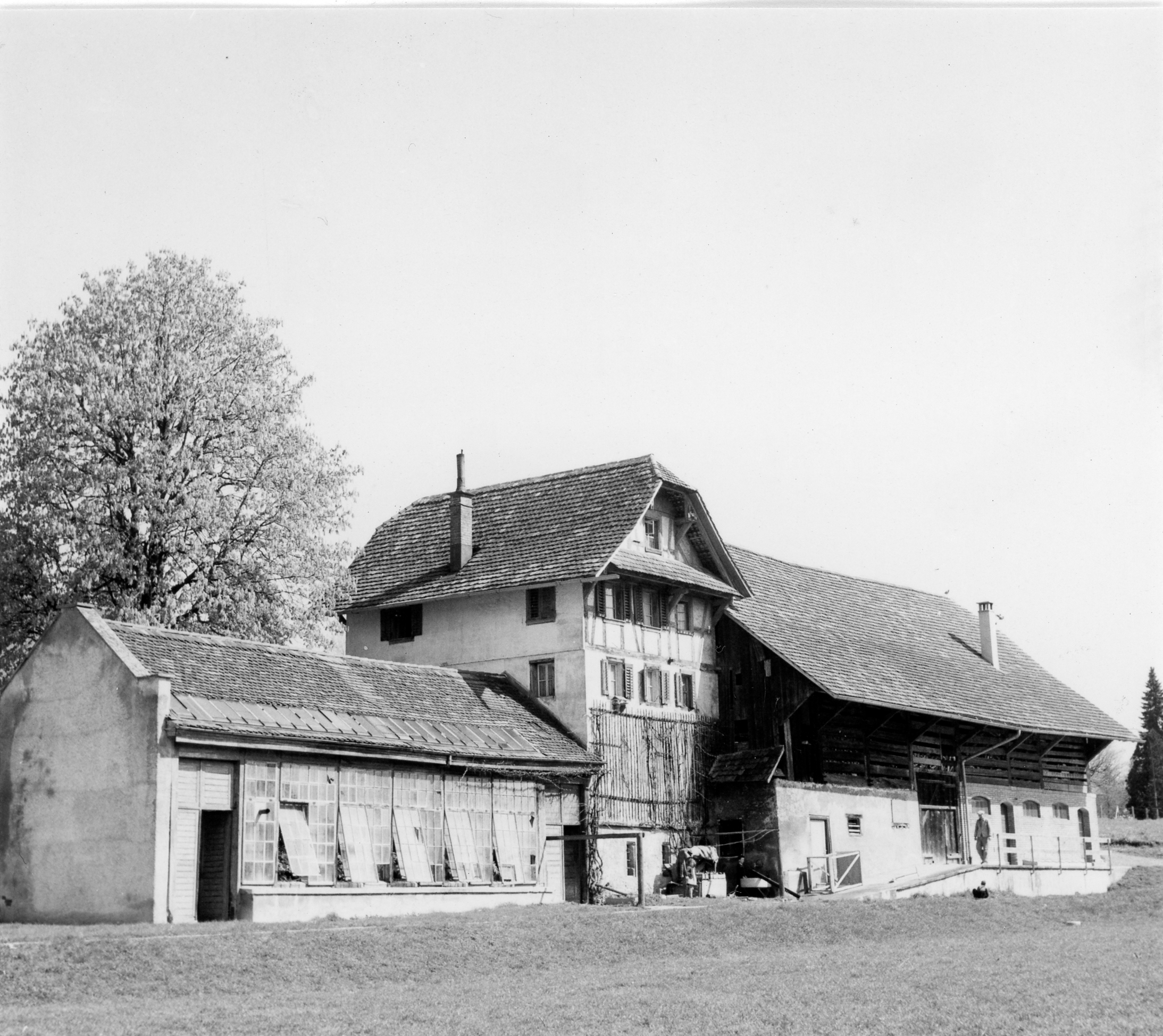 Bauernhof Hinter-Musegg vor 1966 mit wahrscheinlich mittelalterlichem turmartigen Steinbau im Wohnhaus.